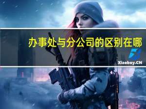 办事处与分公司的区别在哪（办事处与分公司的区别）