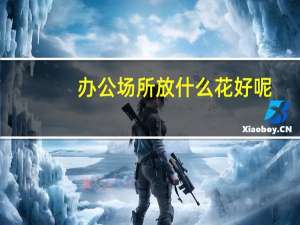 办公场所放什么花好呢