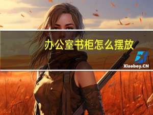 办公室书柜怎么摆放