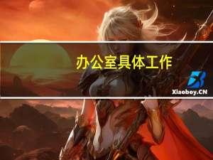 办公室具体工作