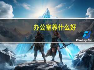 办公室养什么好