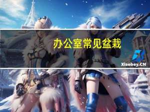 办公室常见盆栽