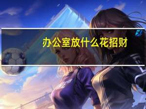 办公室放什么花招财