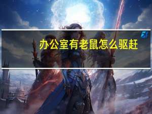 办公室有老鼠怎么驱赶