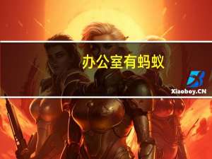 办公室有蚂蚁