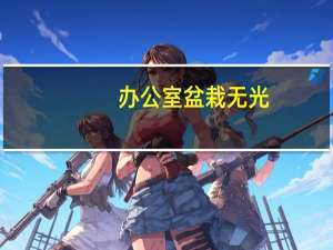 办公室盆栽无光