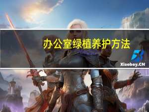 办公室绿植养护方法