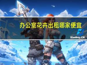 办公室花卉出租哪家便宜