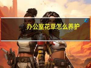 办公室花草怎么养护