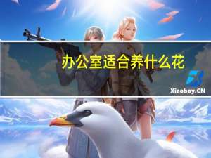 办公室适合养什么花（办公室适合养什么植物）