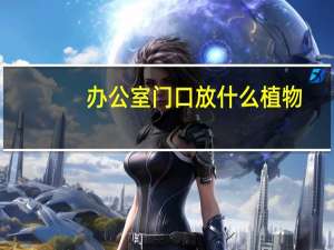 办公室门口放什么植物
