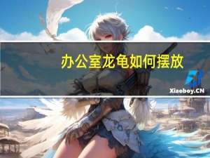 办公室龙龟如何摆放