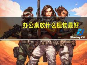 办公桌放什么植物最好