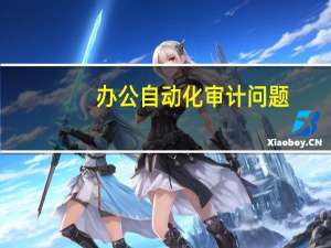 办公自动化审计问题