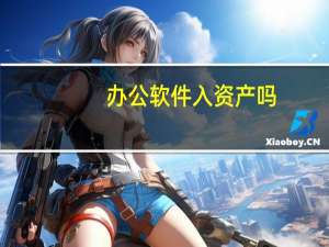办公软件入资产吗