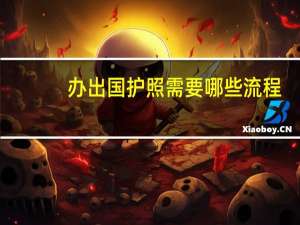 办出国护照需要哪些流程