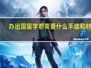 办出国留学都需要什么手续和材料