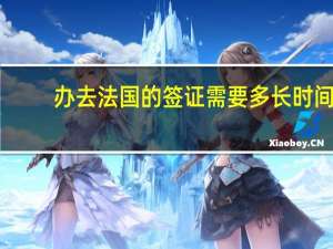 办去法国的签证需要多长时间