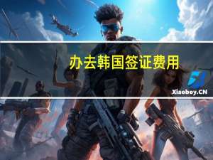 办去韩国签证费用(办理韩国签证需要多少钱)