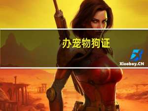 办宠物狗证