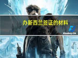 办新西兰签证的材料(办新西兰签证需要什么材料)