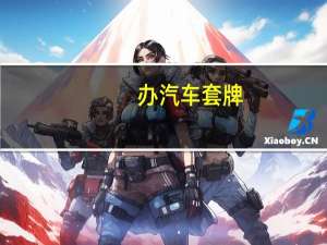办汽车套牌