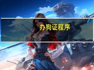 办狗证程序