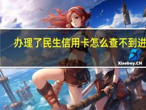 办理了民生信用卡怎么查不到进度（怎么查询民生信用卡的办理进度）