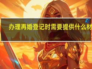 办理再婚登记时需要提供什么材料