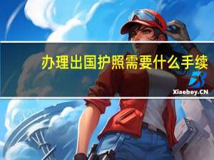 办理出国护照需要什么手续
