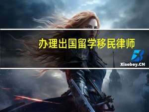 办理出国留学移民律师
