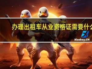 办理出租车从业资格证需要什么