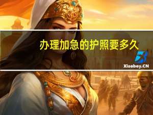 办理加急的护照要多久
