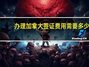 办理加拿大签证费用需要多少
