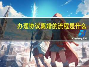 办理协议离婚的流程是什么