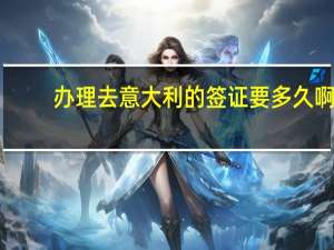 办理去意大利的签证要多久啊
