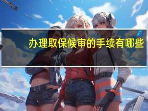办理取保候审的手续有哪些