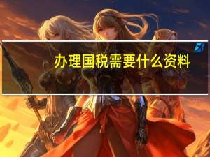 办理国税需要什么资料