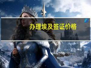 办理埃及签证价格(埃及签证费用)