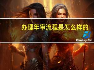 办理年审流程是怎么样的