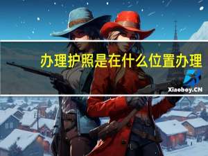 办理护照是在什么位置办理