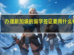 办理新加坡的留学签证要用什么材料