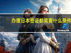 办理日本签证都需要什么条件(日本的签证要什么条件)