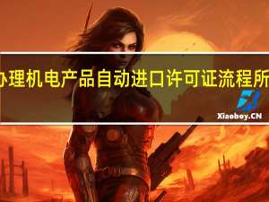 办理机电产品自动进口许可证流程所需材料