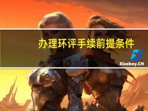 办理环评手续前提条件