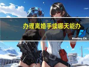 办理离婚手续哪天能办