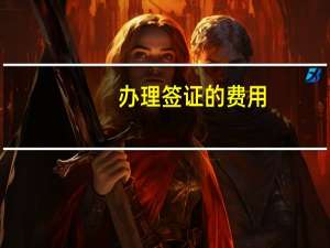 办理签证的费用