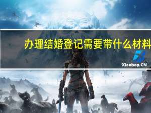 办理结婚登记需要带什么材料