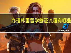 办理韩国留学签证流程有哪些