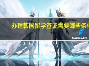 办理韩国留学签证需要哪些条件